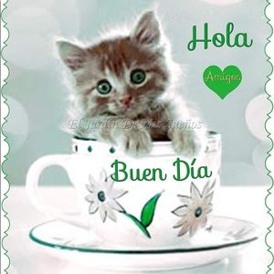 Meet your Posher, Rocio